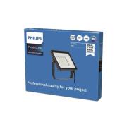 Philips ProjectLine LED-spot utomhus 6 500 K 50 W