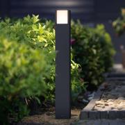 Philips Arbour LED-pollarlampa antracit IP44