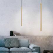 Paul Neuhaus Flute LED-hänglampa 1 lampa mässing
