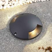 Lindby golv-spotlight med LED Cormac, 2 lampor, Ø 21 cm, IP67