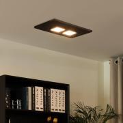 Lucande Esteria taklampa, 2 lampor