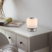 Paul Neuhaus LED-bordslampa Bota, stålfärgad, glas, dimbar