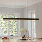 UMAGE LED-hänglampa Hazel Branch, svart/mässing, 150 cm