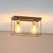 Luminex Taklampa Anna med metallram, 2 lampor