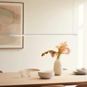 Quitani Talon LED-hänglampa aluminium/naturanodiserad 24W