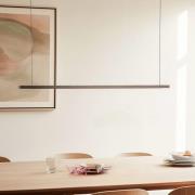 Quitani Talon LED-pendellampa bronsanodiserad 24W