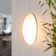 Lucande vägglampa Jemima, 24 cm, glas, elliptisk