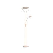 FISCHER & HONSEL LED-golvlampa Davos, sandfärgad, höjd 180 cm, 2 lampo...