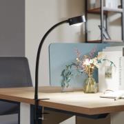 Lindby klämlampa Jyla, svart, lins, 4200K, GX53