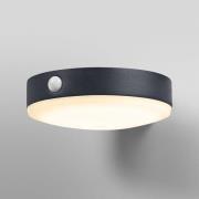 OSRAM LED-sensorvägglampa ENDURA STYLE TOSSA Solar 16 cm 830