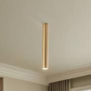 Nowodvorski Lighting Takspotlight Eye, höjd 40 cm, mässing