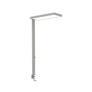 LED-klämlampa MAULjura, silverfärgad, dimbar, 100 cm
