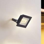 Prios utomhus LED-spot Maikel, 20W, metall, set om 2