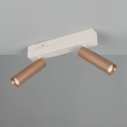 Trio Lighting LED-takspotlight Ambala, längd 26 cm, grå/brun, 2 lampor