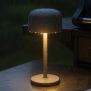 FH Lighting LED-batteridriven bordslampa Finley, sandgrå Höjd 22 cm Me...