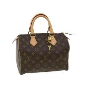 Louis Vuitton Vintage Pre-owned Canvas handvskor Brown, Dam