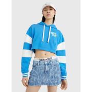 Tommy Jeans Hoodies Blue, Dam