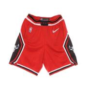 Nike NBA Dri-Fit Swingman Shorts Multicolor, Herr