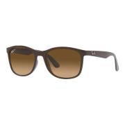 Ray-Ban Sunglasses Ray-Ban RB 4374 Polarized Brown, Unisex