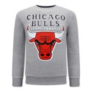 Local Fanatic Chicago Bulls Herrtröja Gray, Herr