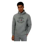 Tommy Hilfiger Varsity Graphic Hoody Hoodie Gray, Herr