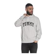 Tommy Jeans Broderad logohoodie - Klassisk Grå Gray, Herr