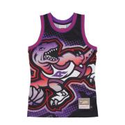 Mitchell & Ness Toronto Raptors NBA Tank Top Multicolor, Herr