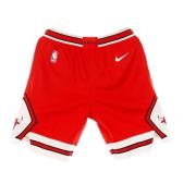 Nike Basketball Swingman Shorts Icon Edition Red, Herr