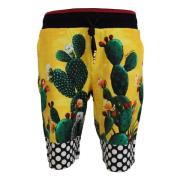 Dolce & Gabbana Multicolor Kaktus Print Sweat Shorts Multicolor, Herr