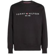 Tommy Hilfiger Svart Ekologisk Bomullströja Regular Fit Black, Herr