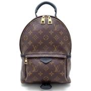 Louis Vuitton Vintage Pre-owned Canvas ryggsckar Brown, Dam