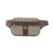 Gucci Vintage Pre-owned Canvas axelremsvskor Multicolor, Dam