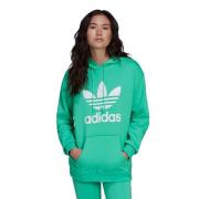 Adidas TRF Hoodie He6954 Dam Sweatshirt Green, Dam