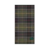 Ganni Stiliga Barbour Scarfs Kollektion Green, Dam