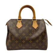 Louis Vuitton Vintage Pre-owned Canvas handvskor Brown, Dam