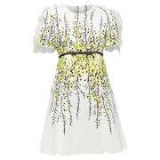 Giambattista Valli Pre-owned Pre-owned Tyg klnningar Multicolor, Dam