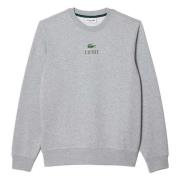 Lacoste Hoodie Gray, Herr