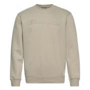 Champion Basic huvtröja Beige, Herr