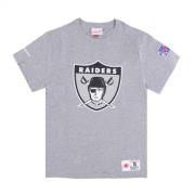 Mitchell & Ness T-shirts Gray, Herr