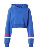 Sweatshirt 'Barnes'