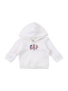 Sweatshirt 'NOVELTY USA'