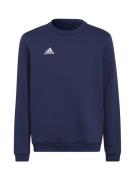 Sport sweatshirt 'Entrada 22'