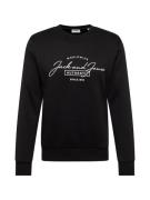 Sweatshirt 'JJFERRIS'