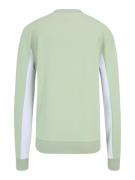 Sport sweatshirt 'LISHUI'