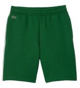 Lacoste Shorts - GrÃ¶n