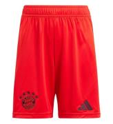 adidas Performance Shorts - FCB H SHO Y - RÃ¶d