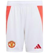 adidas Performance Shorts - Mufc H Sho Y - Vit