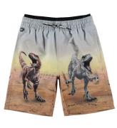 Molo simshorts - Badshorts UV50+ - Neal - Dino Scenery