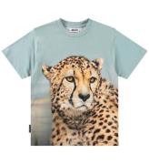 Molo T-shirt - Ruby - BIG Cheetah Blue