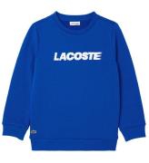 Lacoste Sweatshirt - Lazuli m. Vit